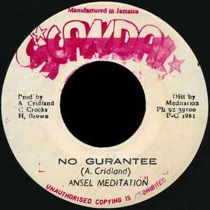 Ansel Meditation / Roots Radic's* ‎– No Gurantee / No Gurantee (Version)