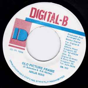 Ninja Man* - Old Picture Frame