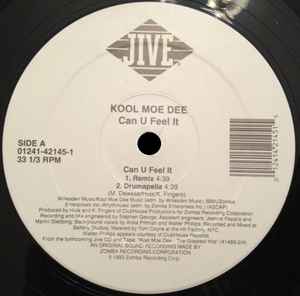Kool Moe Dee ‎– Can U Feel It